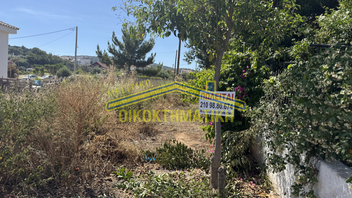 property-img