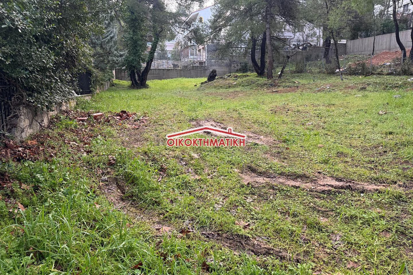 property-img