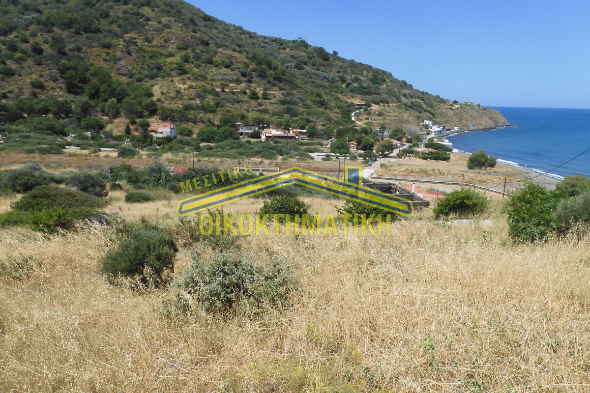 property-img