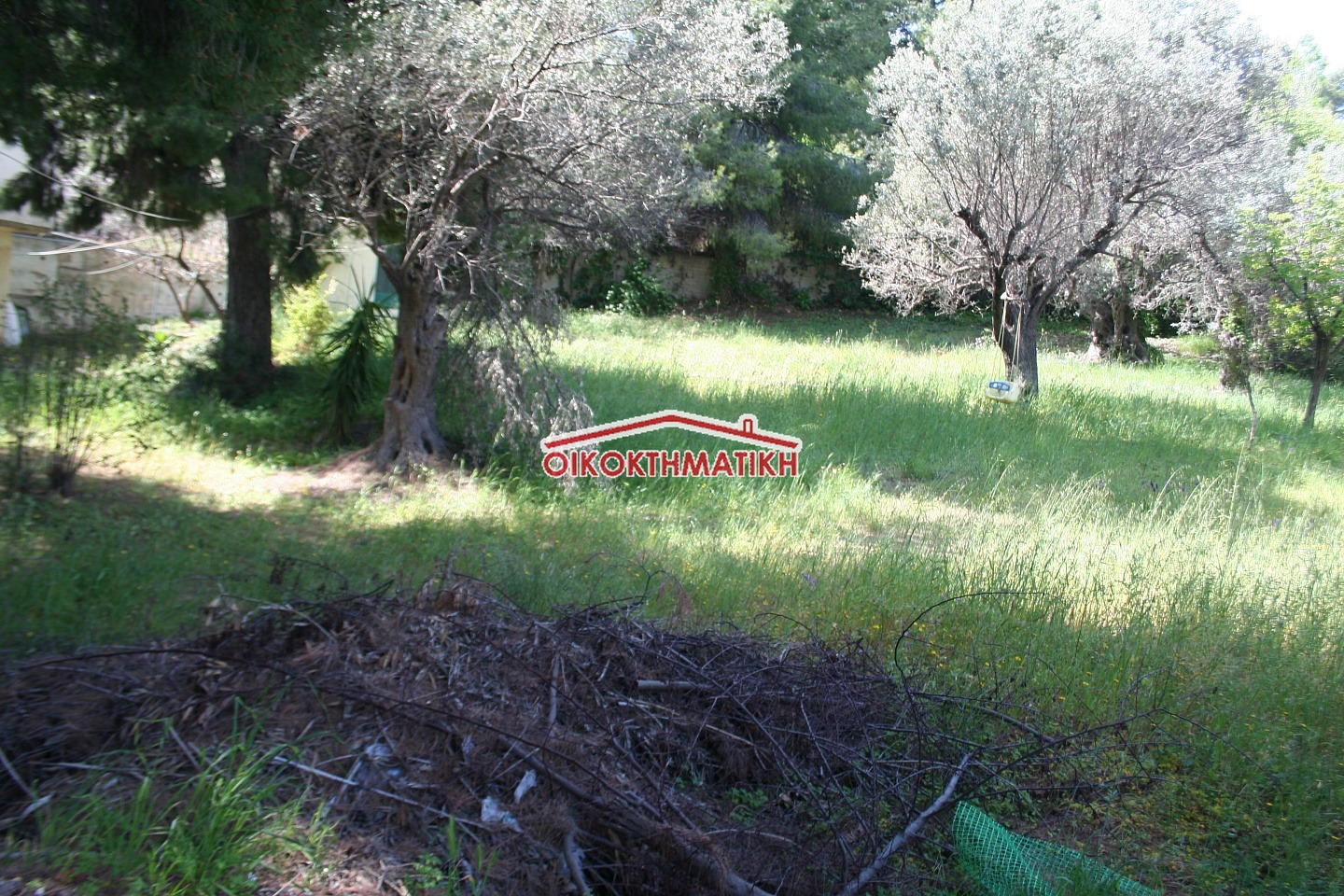 property-img