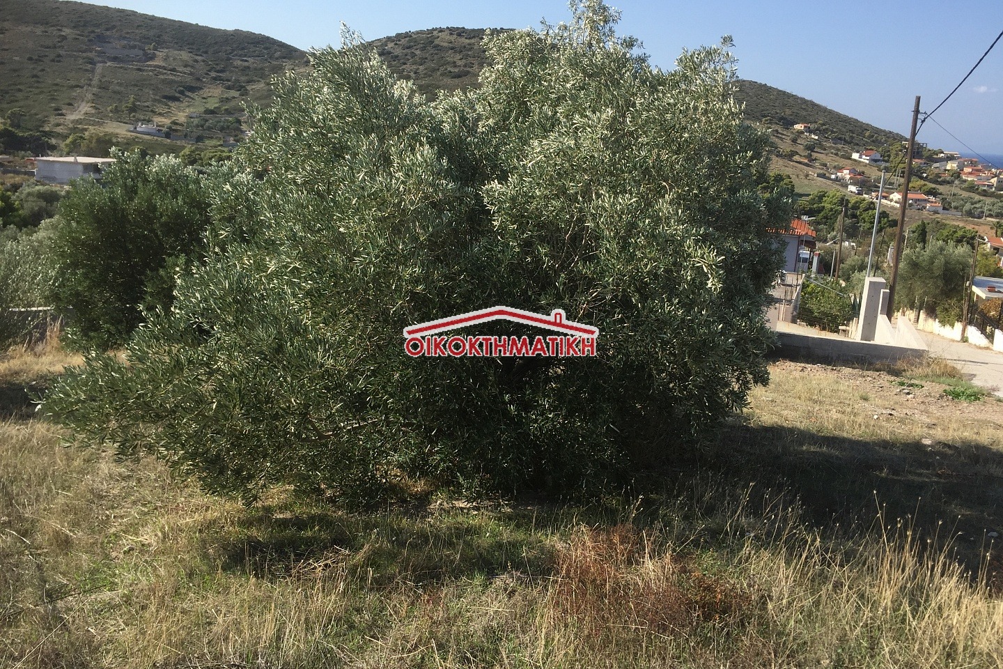 property-img
