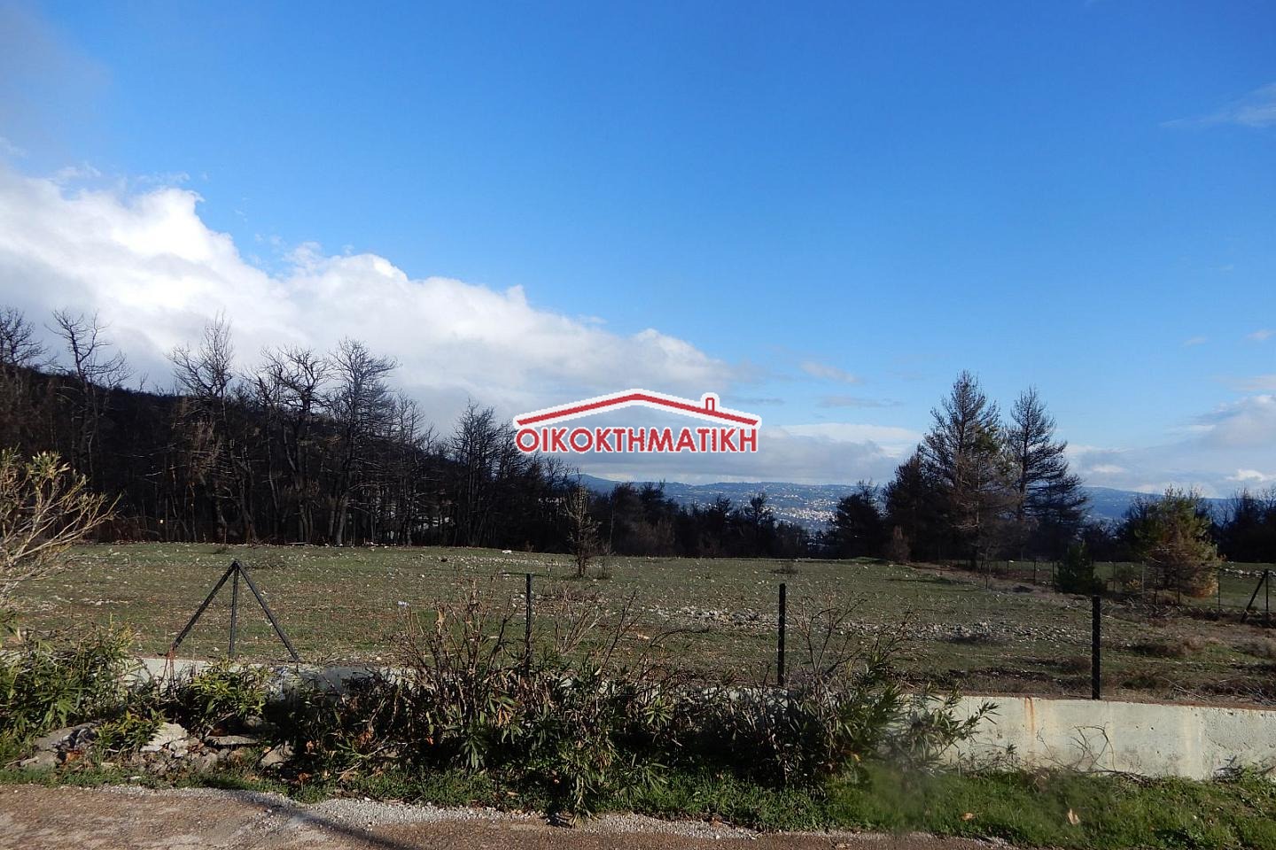 property-img