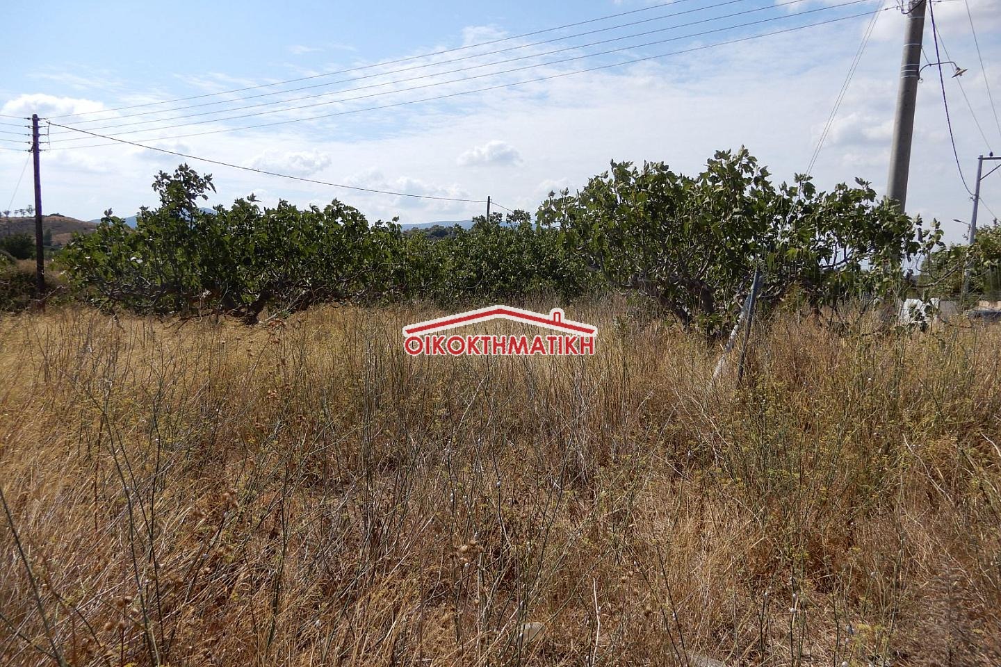 property-img