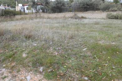 Agricultural Land Plot προς Sale - GLYKA NERA, ATTICA