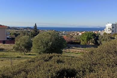 ΚΑΛΥΒΙΑ ΘΟΡΙΚΟΥ ΑΓΡΟΤΕΜΑΧΙΟ 1570 ΤΜ