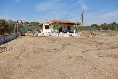 House προς Sale - MARKOPOULO MESOGION, ATTICA